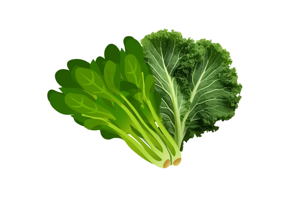 5 Foods for Arthritis Patients